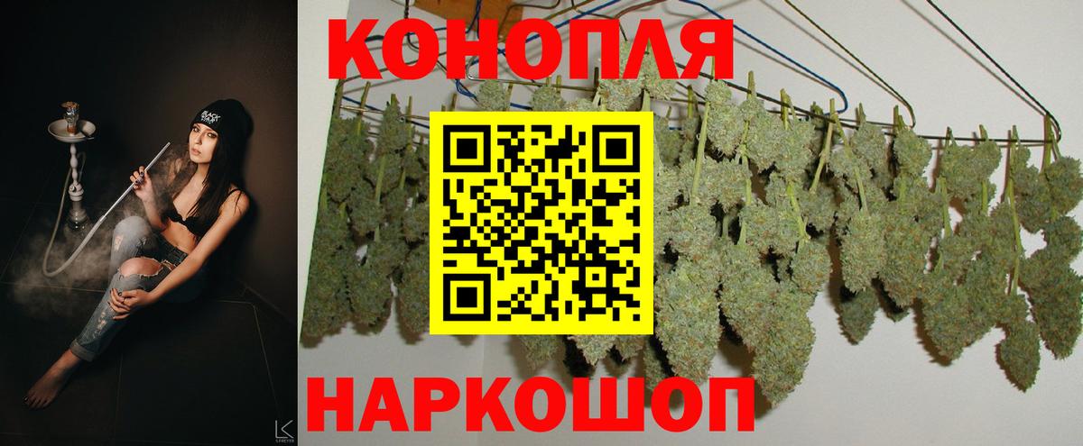 Бошки марихуана семена Ахтубинск
